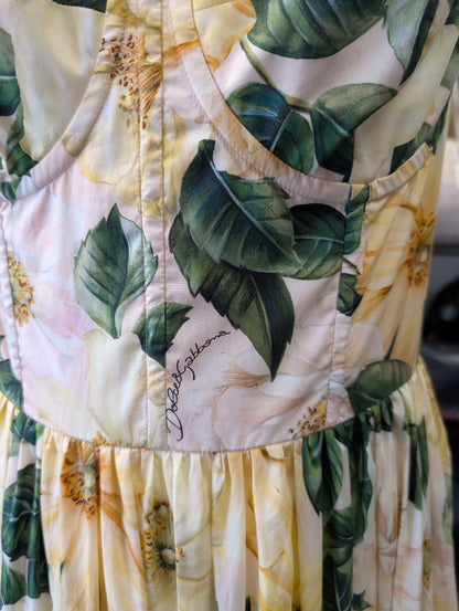 Dolce e Gabbana